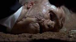 Die Schweine stürzen sich auf den panischen Verger