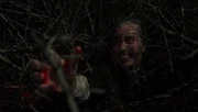 Dracula gerät auf der Jagd nach Van Helsing in einen Weißdornbusch...