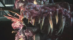 BirkinNeueMutation.png (543 KB) Birkin durchgeht eine weitere Mutation