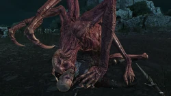 DettlaffBeißt.jpg (577 KB) Dettlaff beißt Geralt