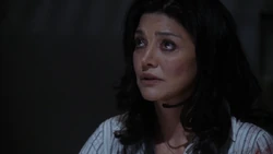 DinaNeuesAngebot.png (389 KB) Die CTU unterbreitet Dina ein neues Angebot