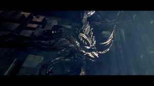 Excella transformiert