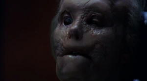 Vergers entstelltes Gesicht