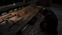 Frideswid untersucht einen Körper