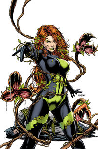 Ivy3.jpg