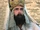 Hohepriester (Monty Python)