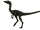 Compsognathus
