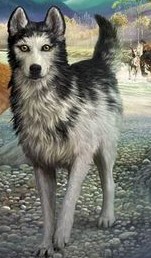 Alpha Survivor Dogs Schurken Wiki Fandom