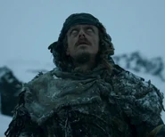 Orell wargt in seinen Adler.