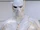 Godspeed (Arrowverse)