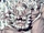 Doomsday (DC Comics)