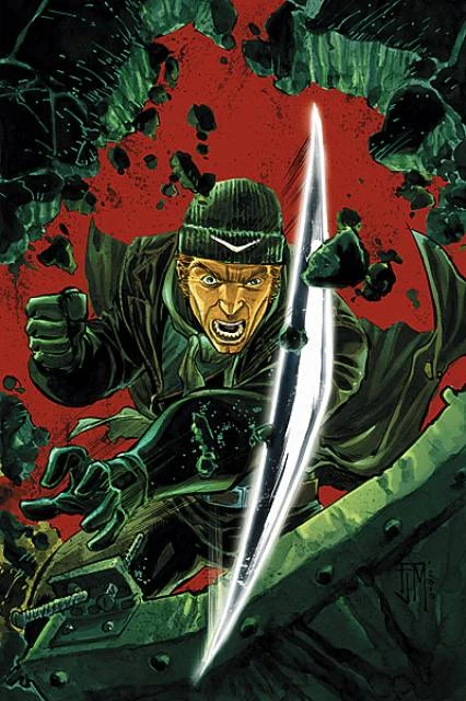 Captain Boomerang Schurken Wiki Fandom