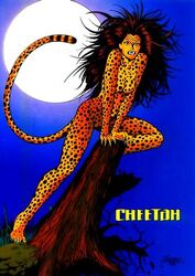 Cheetah3