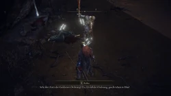 Fia wurde durch Ds Bruder getötet