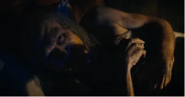 Frank (Barbarian) (392 KB) Frank Barbarian, 2022