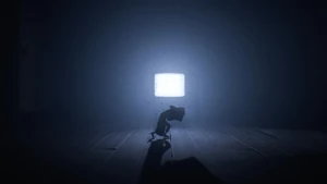 MonoFernseher.jpg (247 KB) Mono wird von der Übertragung eines Fernsehers erfasst