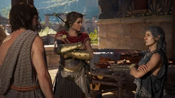 Chrysis trifft in Argolis auf Kassandra