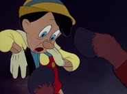 ... in Eselshufe verwandeln.