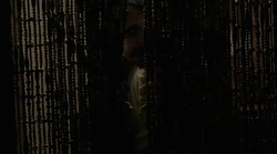 Faheen hält sich versteckt