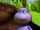 Rudy (Maya the Bee)