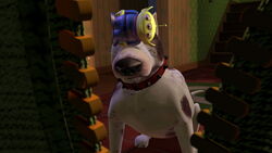 Toy story stupid dog online