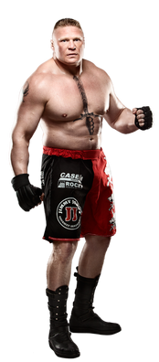 Brock lesnar stat