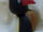Angry Penguin