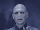 Lord Voldemort