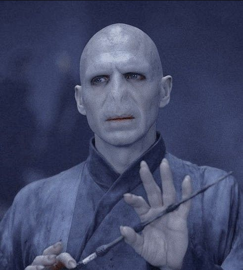 Lord Voldemort, Wikia Liber Proeliis