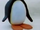 Pingg