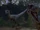 Highland Velociraptors