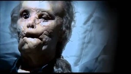 Masonverger1