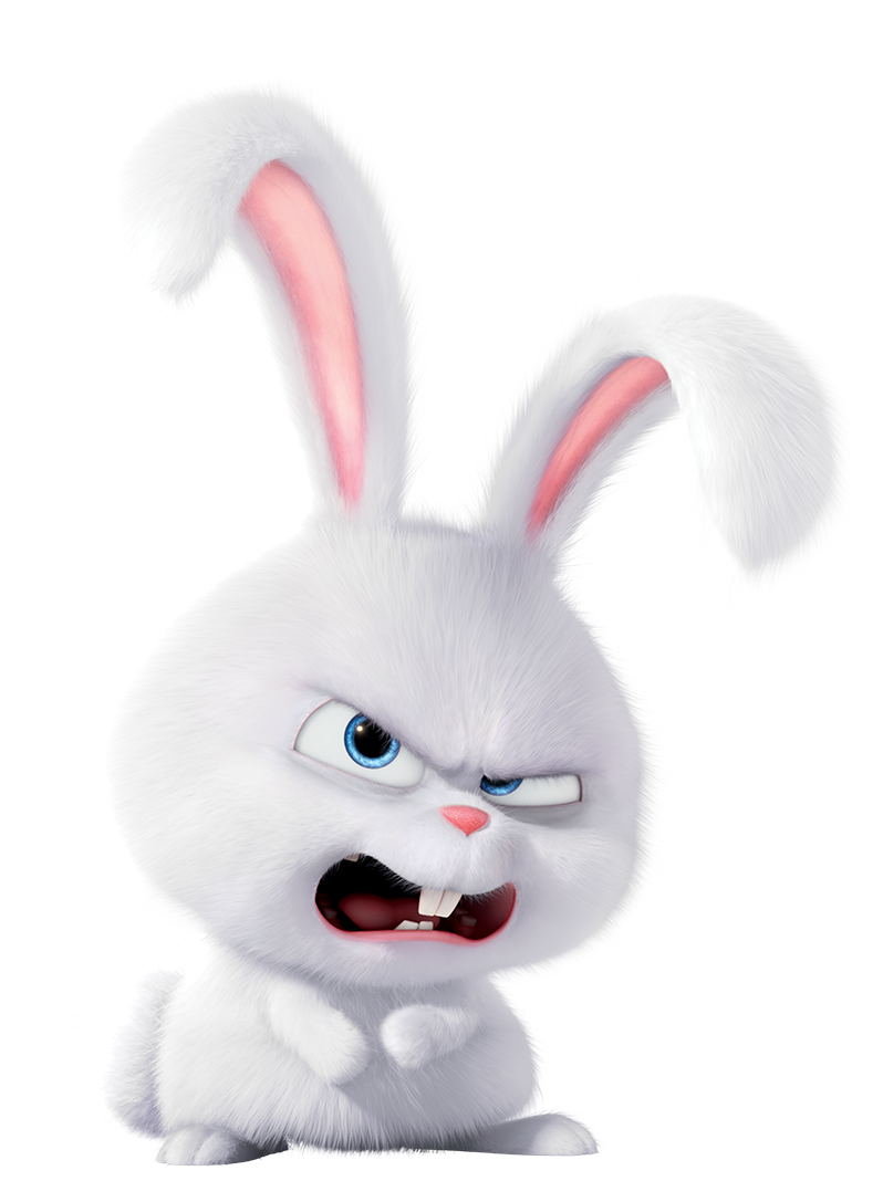 Bunny (Pet), Murder Mystery 2 Wiki