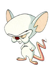 Promo cel brain