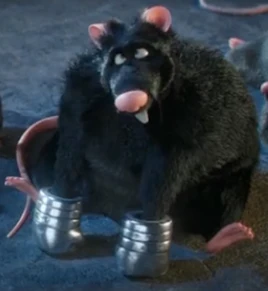 Rat