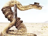 Rattlesnake Jake