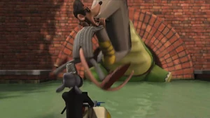 Ladykiller hit by Thimblenose Ted.