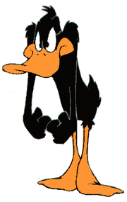 Daffy