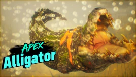 Apex American Alligator