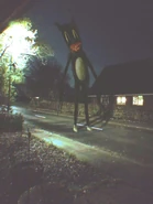 Cartoon Cat standing in the middle of a road, stretching out impossibly. Note that in this picture, he possesses no gloves, a white patch on his abdomen, and a pair of white cartoon shoes.