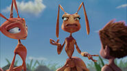 Ant-bully-disneyscreencaps.com-2935