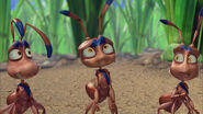 Ant-bully-disneyscreencaps.com-2991