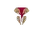 Carapace fendue