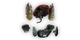 Plastron de galapin (Colosse)