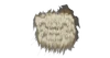 Berserker arctique