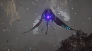 A Storm Wyvern Prepares to Attacks