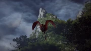 Wyvern During Flight