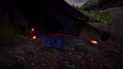 The Glowing Bits of a Saurians