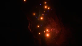 Flora Aquatic Spore Orange Infobox Image