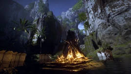 Sentinel Bonfire Infobox Image